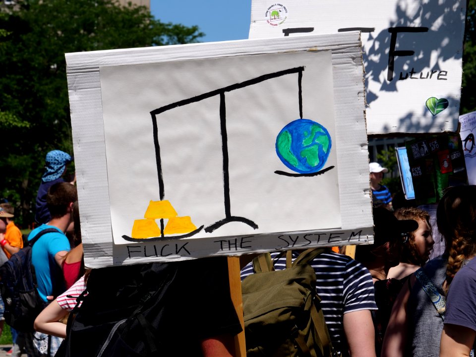 FridaysForFuture protest Berlin 14-06-2019 23