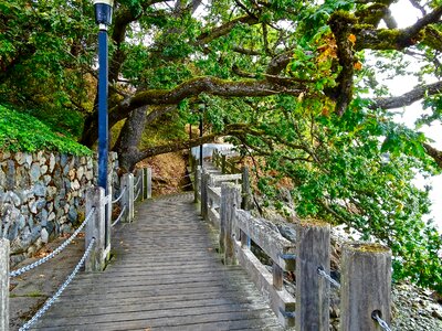 Covered outdoor natural