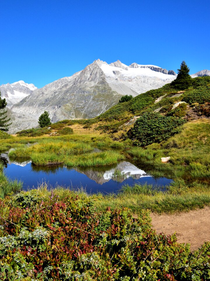 Mirroring switzerland nature