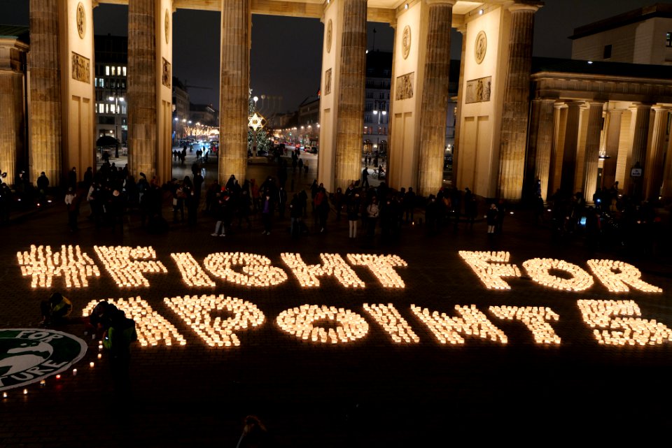 FridaysForFuture protest Berlin 2020-12-11 35