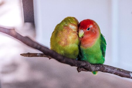 Cute tropical colorful