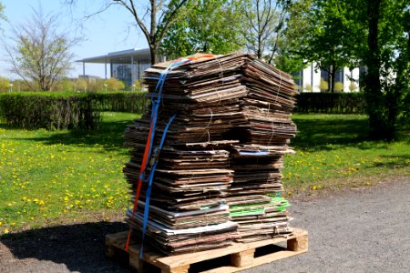 FridaysForFuture protest Berlin 2020-04-24 17