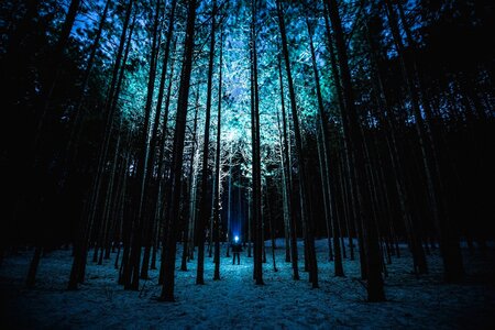 Moonlight winter flashlight