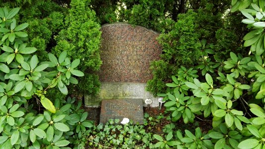 Friedhof Zum Heiligen Kreuz mai2017 - 3
