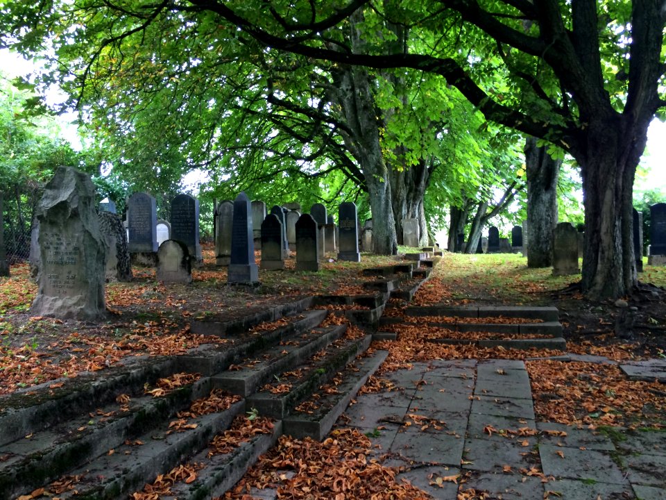 Friedhof Steinkluppe Weg
