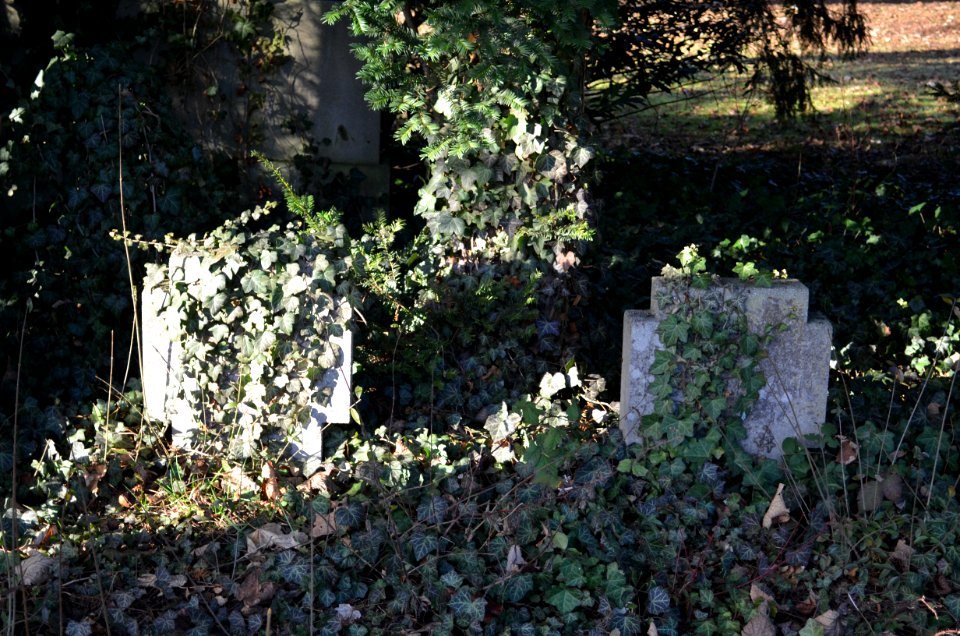 Friedhof Unterliederbach, Kriegsgefallene 1914-1918, Grab Münstermann, Schnell