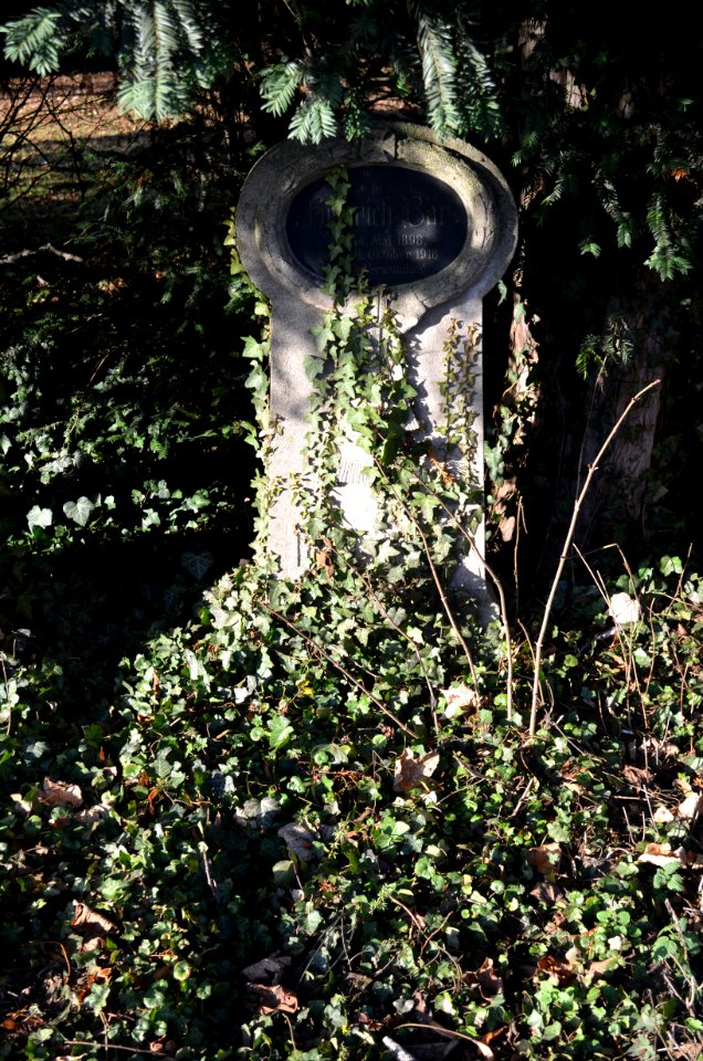 Friedhof Unterliederbach, Kriegsgefallene 1914-1918, Grab Bär