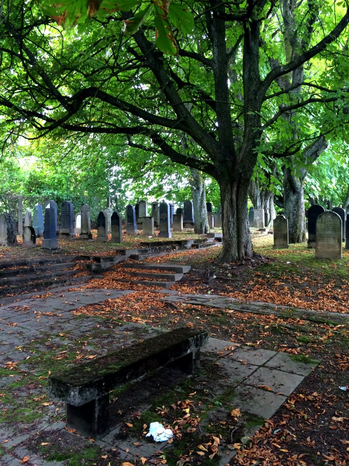 Friedhof Steinkluppe Forum