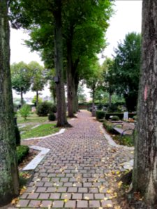 Friedhof in Eschborn Oktober 2019 03