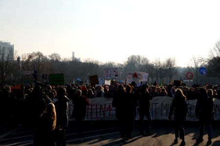 FridaysForFuture protest Berlin 2020-01-24 demonstration 78