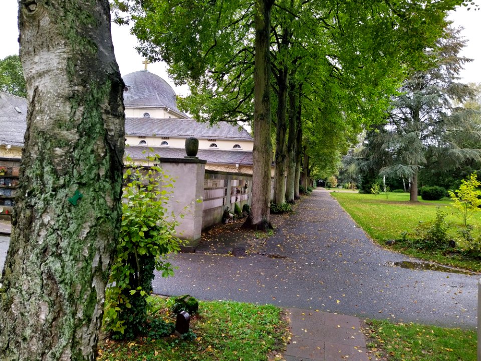 Friedhof Höchst Oktober 2019 031