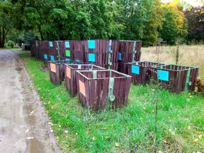 Friedhof Höchst Oktober 2019 040