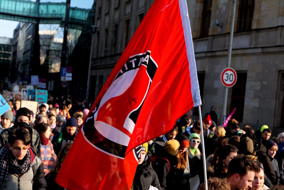 FridaysForFuture protest Berlin 2020-01-24 demonstration 61