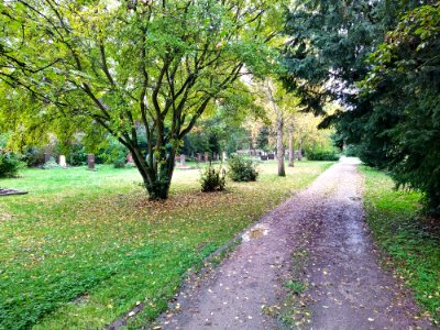 Friedhof Höchst Oktober 2019 050