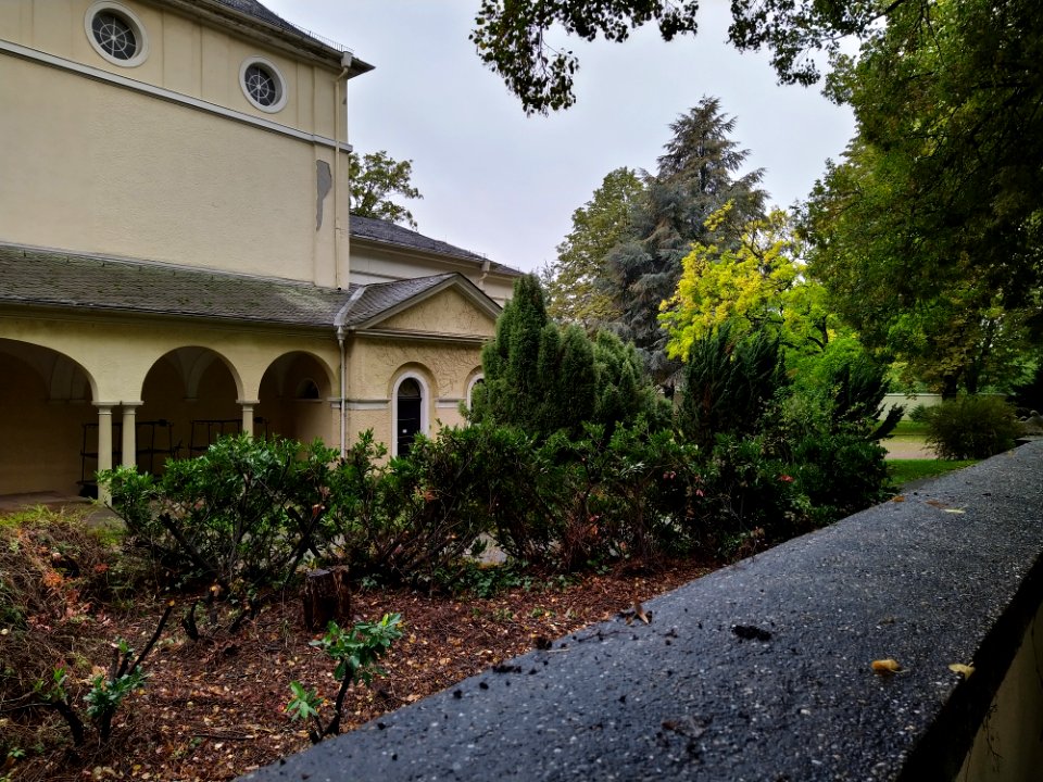 Friedhof Höchst Oktober 2019 041