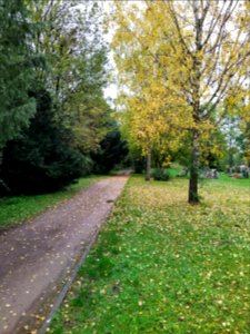 Friedhof Höchst Oktober 2019 052