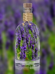 Spring purple nature