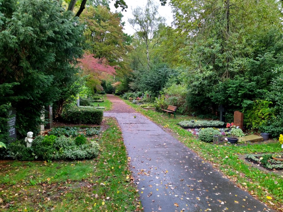 Friedhof Höchst Oktober 2019 066