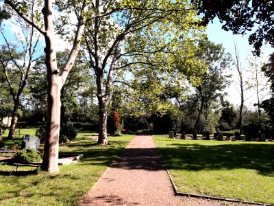 Friedhof Korbetha2