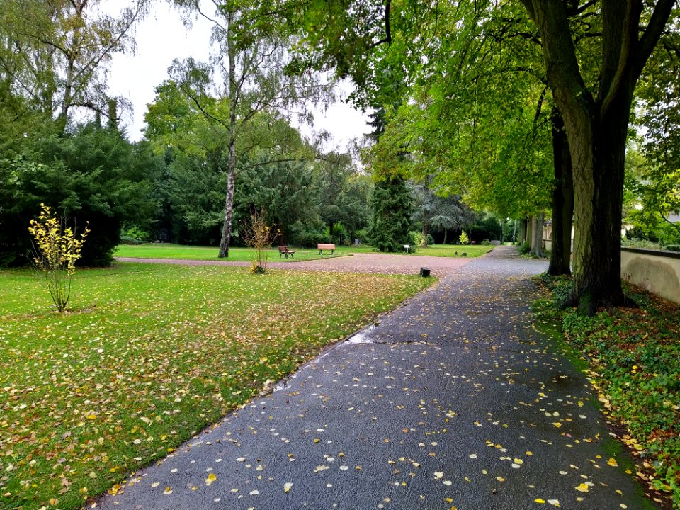 Friedhof Höchst Oktober 2019 060