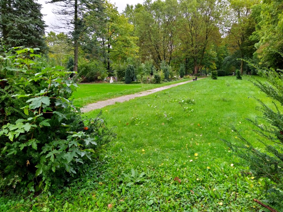 Friedhof Höchst Oktober 2019 071