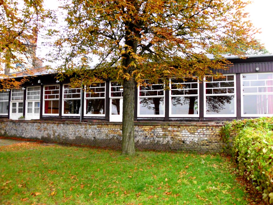 Friedrichshöhe 9