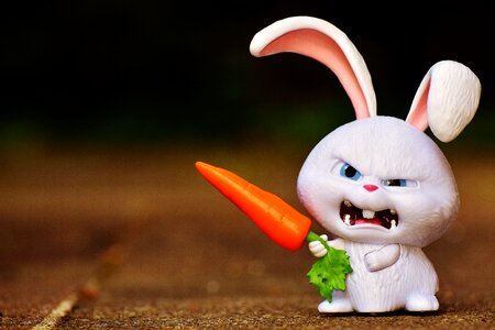 Film character pets funny