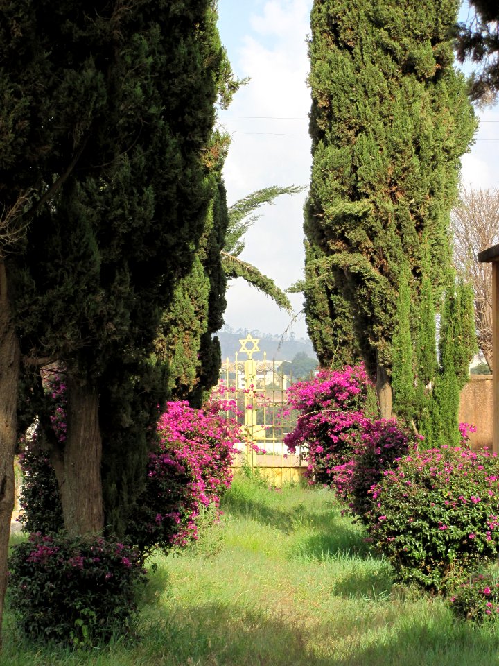 Friedhof Asmara 3