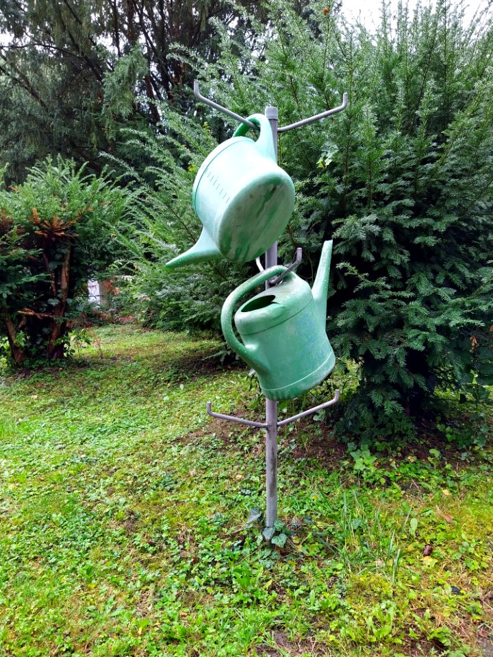 Friedhof Höchst Oktober 2019 004