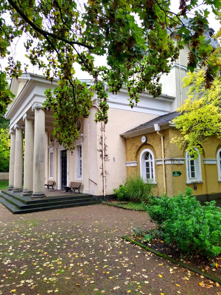 Friedhof Höchst Oktober 2019