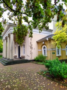 Friedhof Höchst Oktober 2019