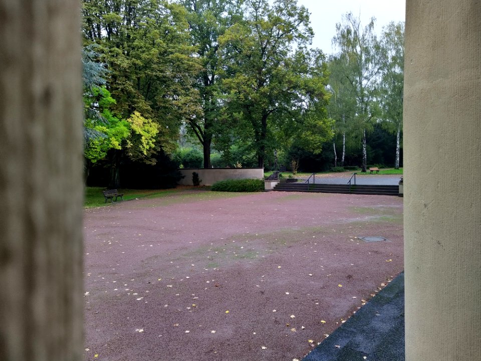 Friedhof Höchst Oktober 2019 009