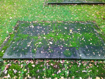 Friedhof Höchst Oktober 2019 021