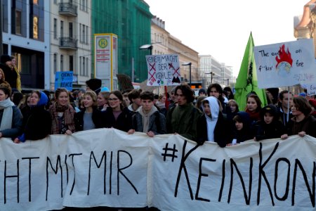 FridaysForFuture protest Berlin 2020-01-24 demonstration 09