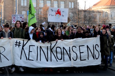 FridaysForFuture protest Berlin 2020-01-24 demonstration 03