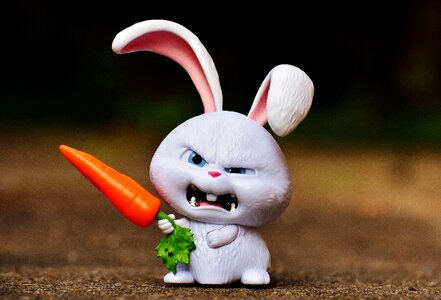 Film character pets funny