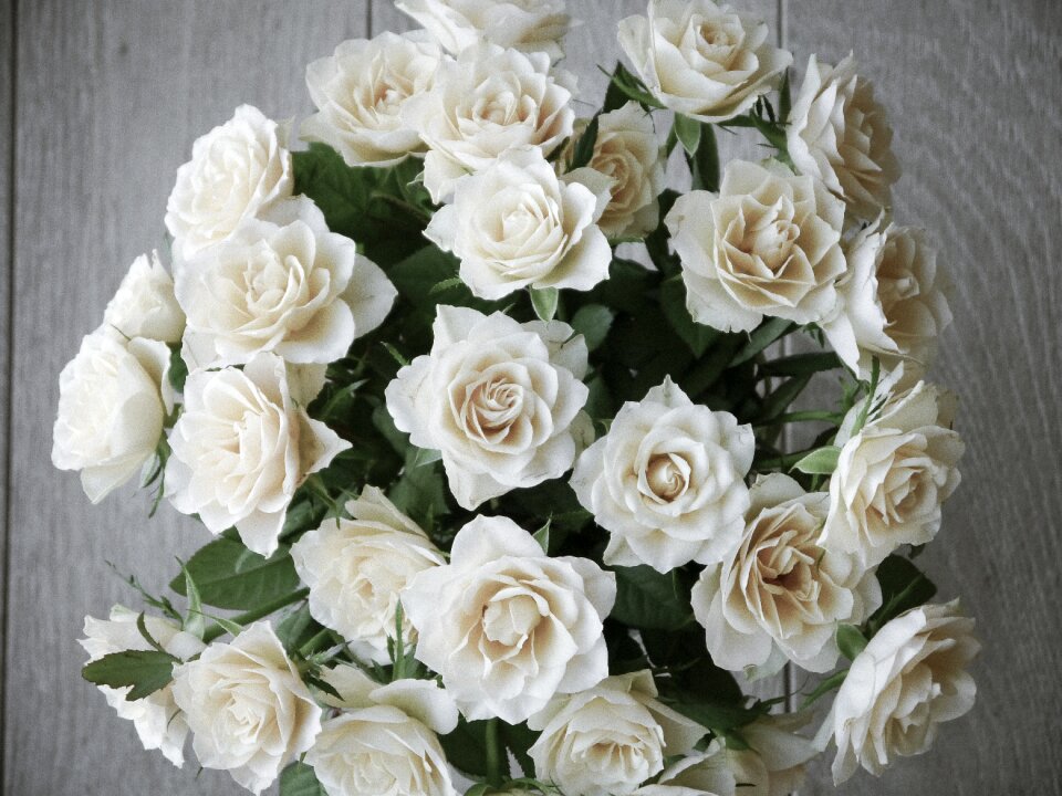White yellow top view