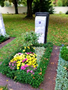Friedhof Höchst Oktober 2019 057