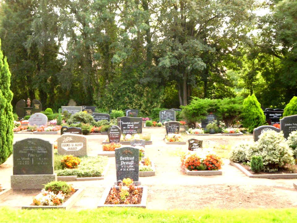Friedhof groß buchholz 2