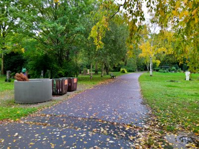 Friedhof Höchst Oktober 2019 048