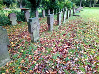 Friedhof Höchst Oktober 003