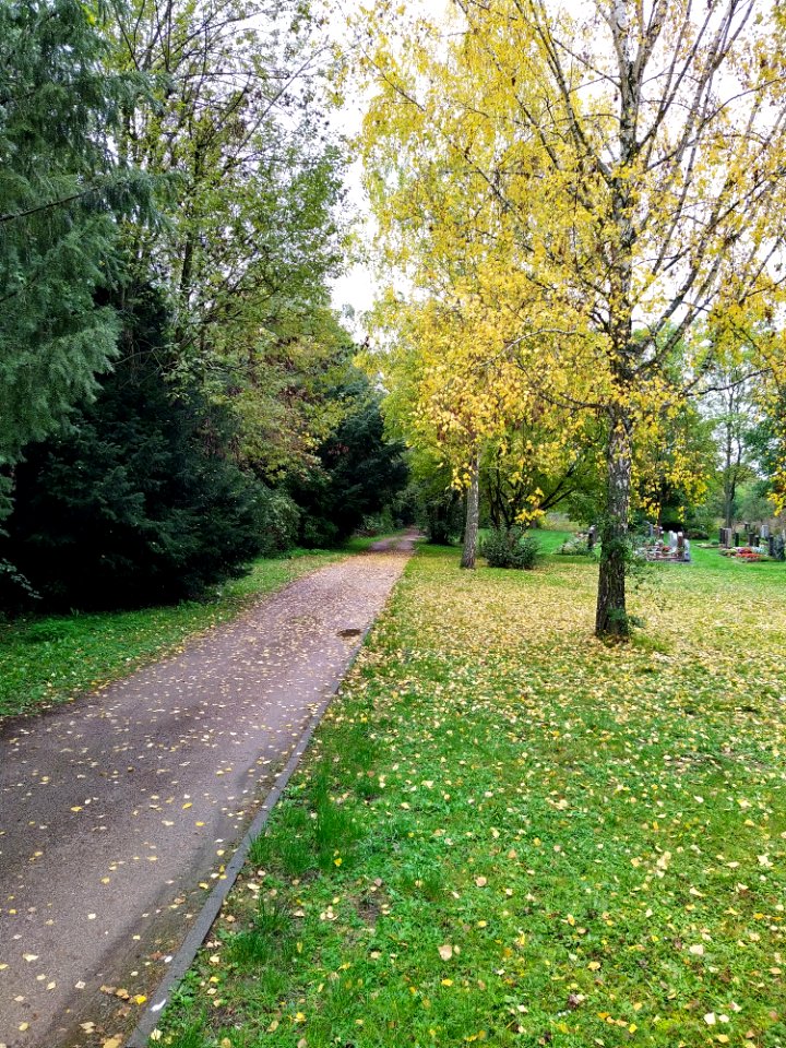 Friedhof Höchst Oktober 2019 051