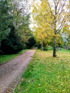 Friedhof Höchst Oktober 2019 051