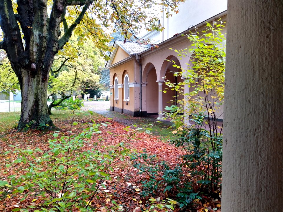 Friedhof Höchst Oktober 2019 013