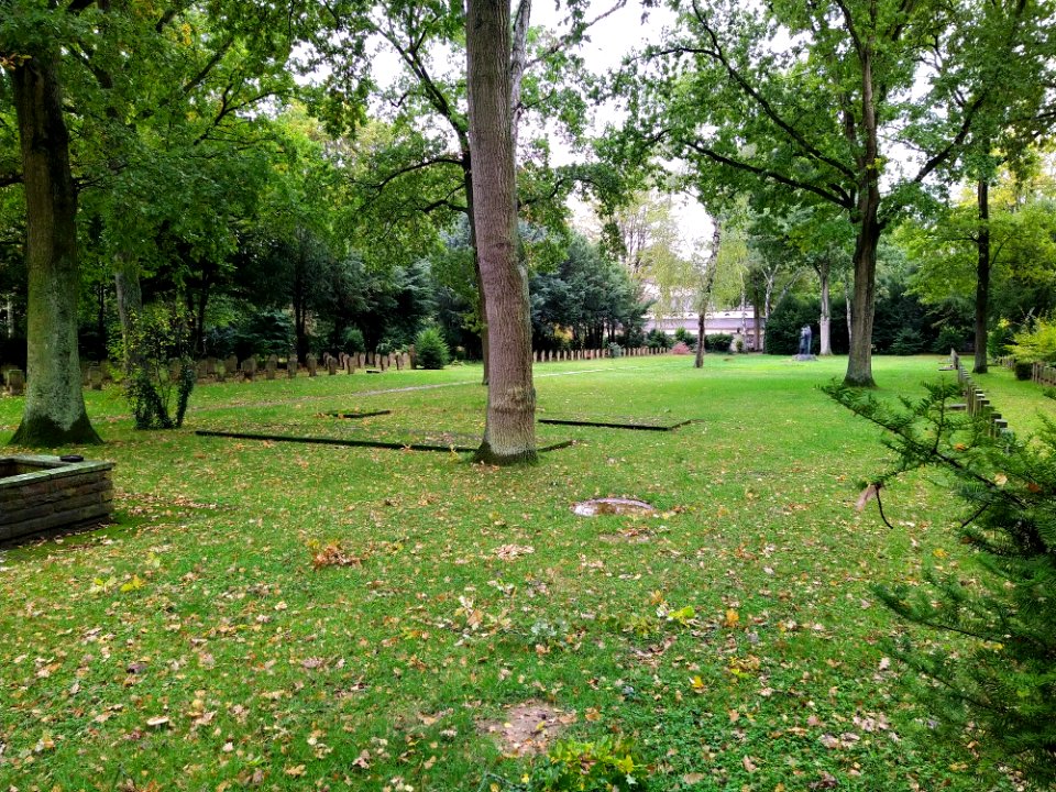 Friedhof Höchst Oktober 2019 029