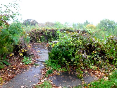 Friedrichshöhe 16