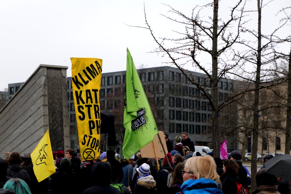 FridaysForFuture protest Berlin 2020-02-14 04