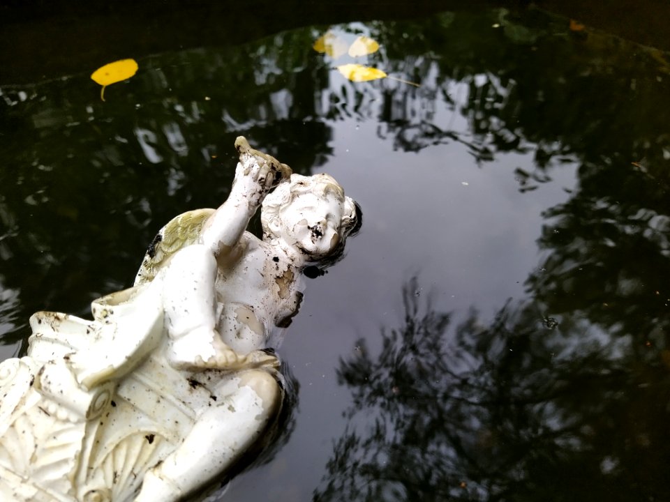 Friedhof Höchst Oktober 2019 012