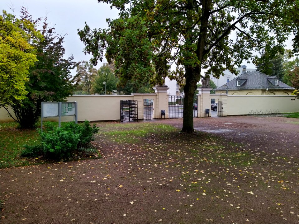 Friedhof Höchst Oktober 2019 015