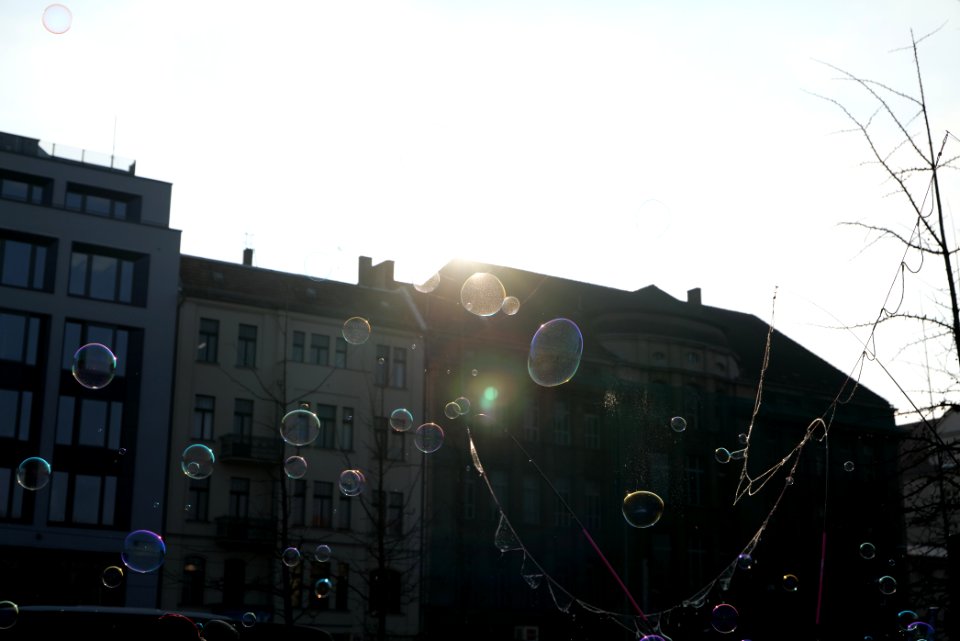 FridaysForFuture protest Berlin 2020-01-24 Invalidenpark 21
